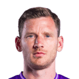 Vertonghen image