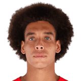 Witsel image