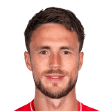 van Wolfswinkel image