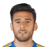 Salvio image