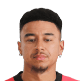 Lingard image