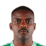 William Carvalho image