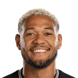 Joelinton image