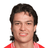 Litmanen image