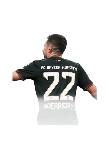 Guerreiro image