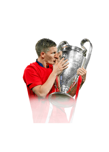 Schweinsteiger image